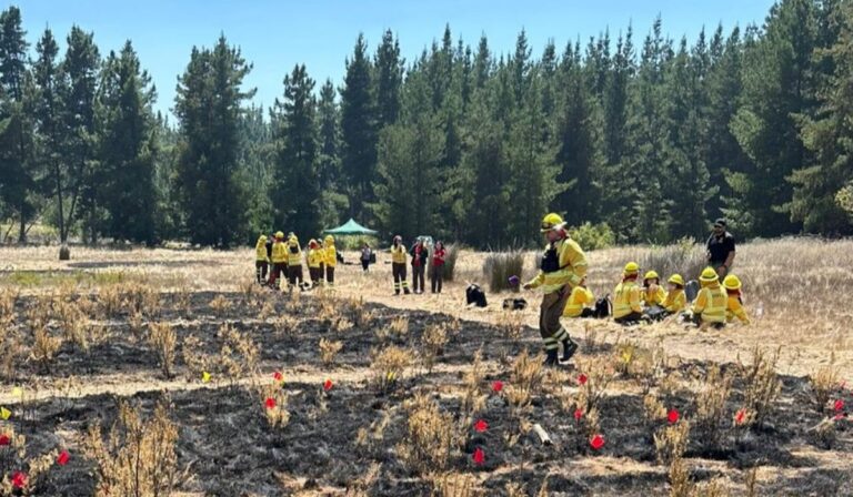 CONAF Maule recibió capacitación del Servicio Nacional Forestal de EE.UU.