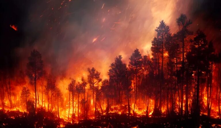 Gobierno solicitó despachar “cuanto antes” la ley de incendios