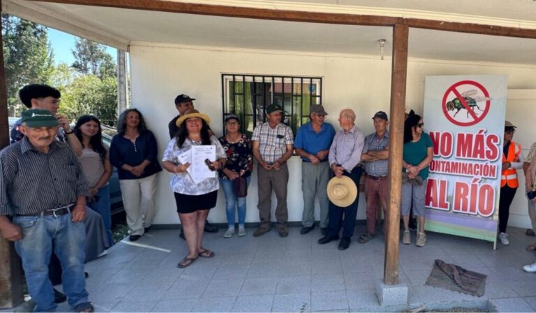 “Escucharon nuestra voz”: Vecinos de San Francisco agradecieron cierre de Huevos Talca