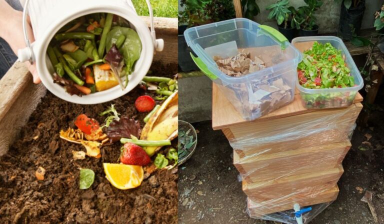 ¡No van a la basura! Vecinos de San Javier reutilizarán residuos orgánicos