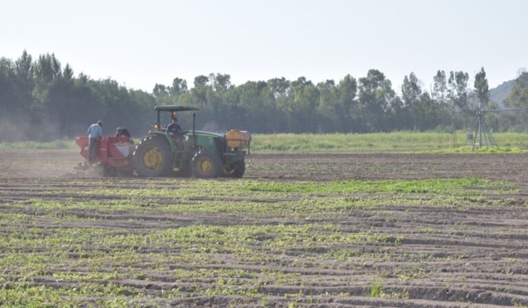Tecnología GPS innova y optimiza producción agrícola en el Maule