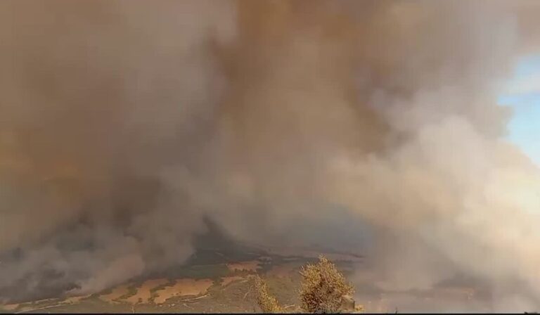 Incendios Pencahue-Curepto y Curicó sumaron cientos de hectáreas afectadas
