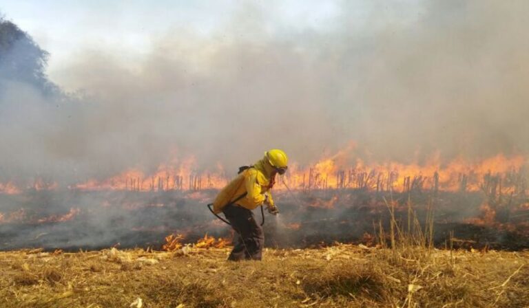Chilenos lideran innovador proyecto para la prevención de incendios forestales