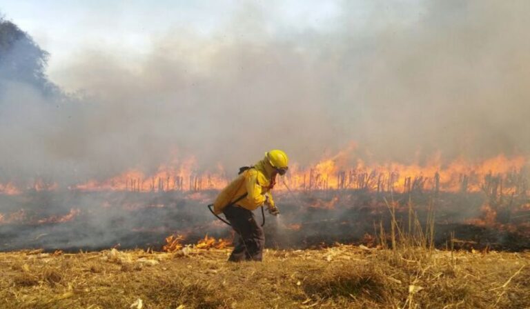 Medidas cautelares para autor de incendio en zona rural de San Javier