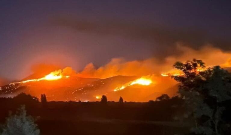 Reporte de incendios en el Maule: Dos focos controlados y tres en combate