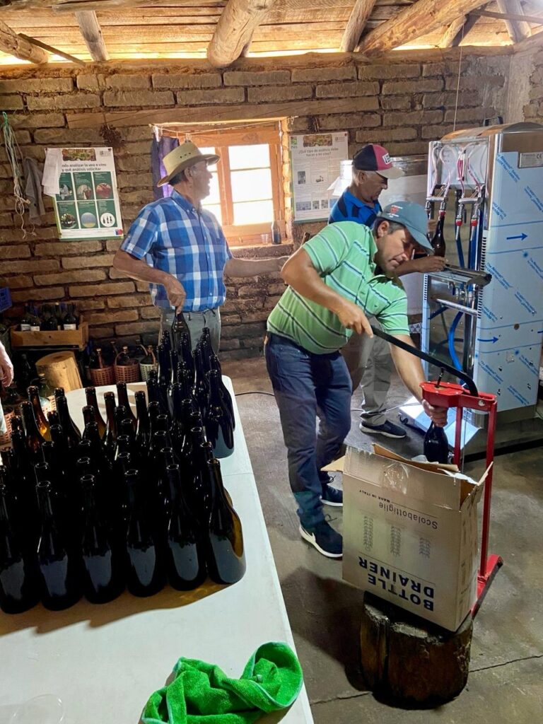 Talca: FOSIS entrega apoyo a pequeños viñateros