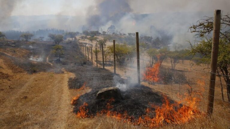 Colbún: hombre es detenido por presuntamente comenzar incendio
