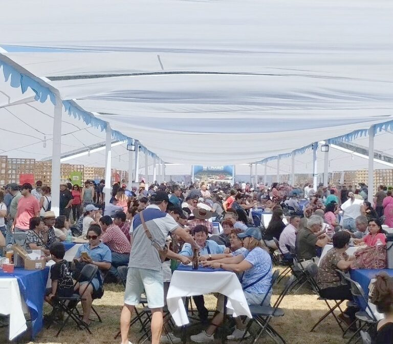 Linares celebró Fiesta del Criancero en la precordillera