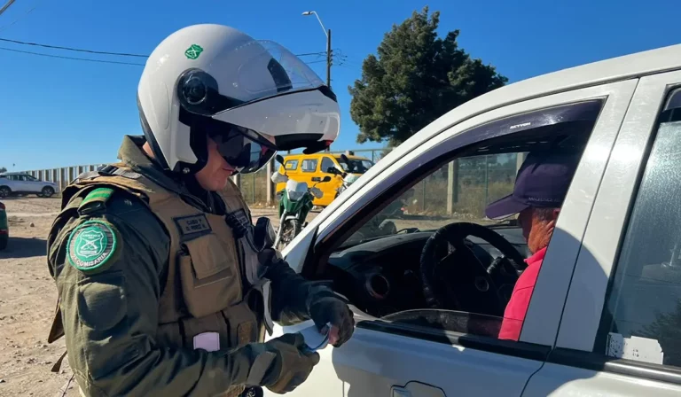 El Maule es la región con más fallecidos en accidentes de tránsito: Carabineros llama a tomar medidas de seguridad vial