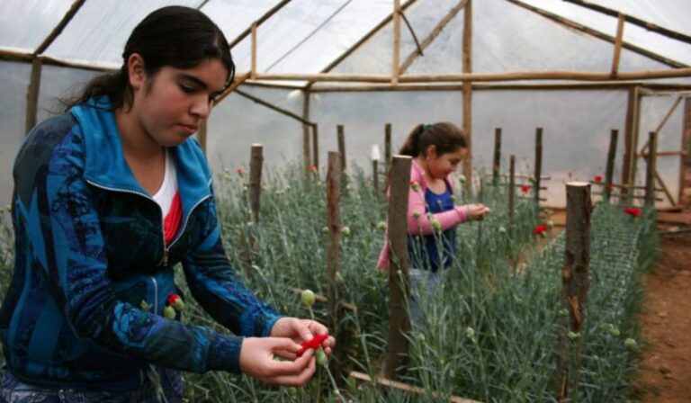 Corte de Apelaciones de Talca conmemoró a mujeres campesinas