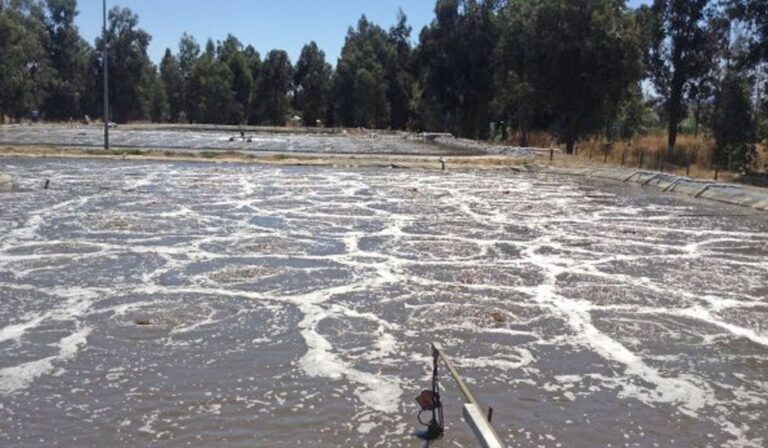 Coexca tiene 14 meses para cumplir medidas de impacto ambiental