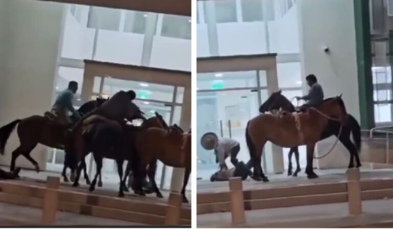 Longaví: Confusa riña entre jinetes acabó con dos heridos y un caballo lesionado