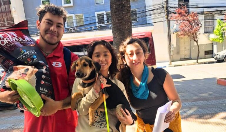 Realizan exitosa jornada de adopción de perritos rescatados en Curicó