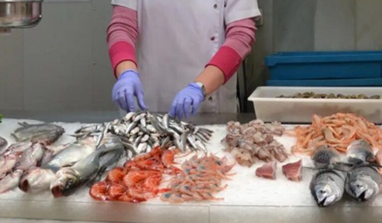 “El limón no cuece mariscos ni pescados”: Autoridades repasan medidas de prevención en Semana Santa