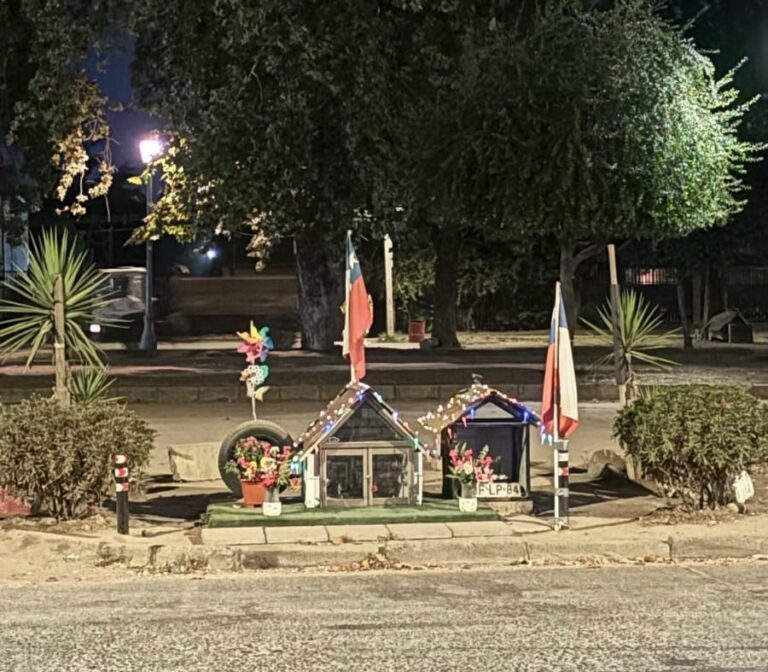 Talca: Vecinos denuncian carreras de autos clandestinas en la Alameda