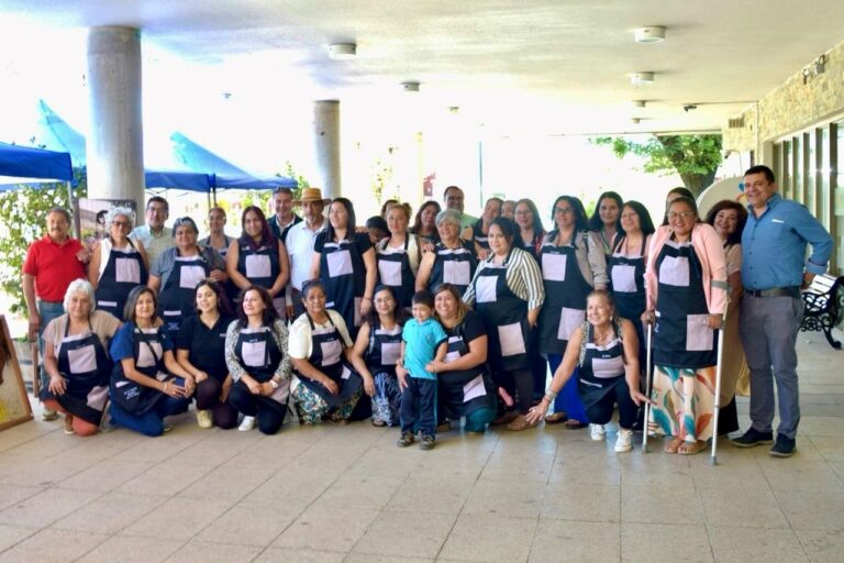 Pencahue: Agrupación de Feriantes Mujeres Jefas de Hogar recibieron millonario equipamiento