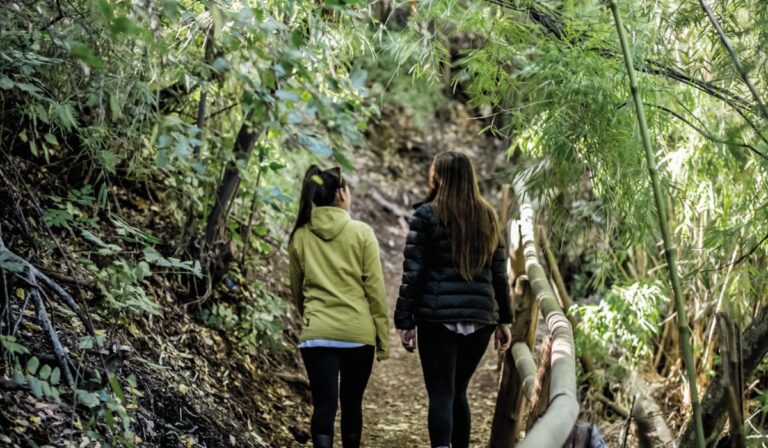 Vive el Día del Deporte: Parques nacionales abiertos y diversas actividades gratuitas