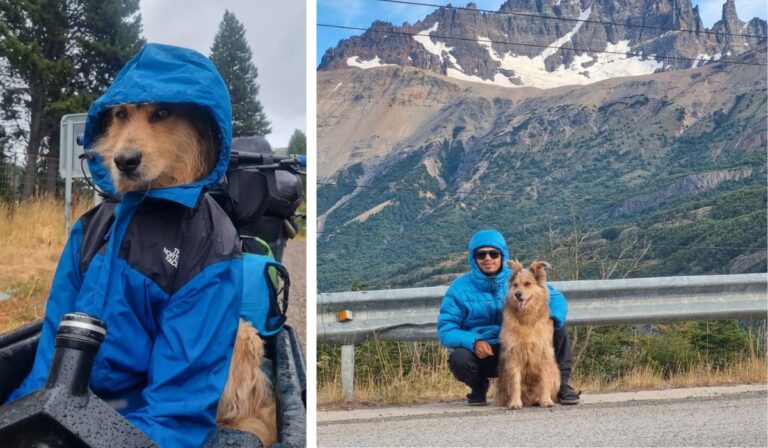 ¡Hasta el fin del mundo! Perrito rescatado y su dueño recorren la carretera austral