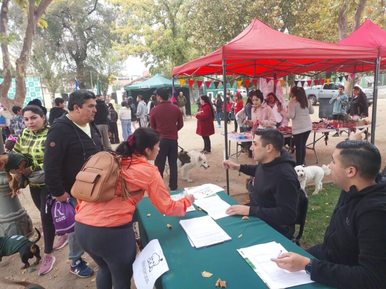 Talca: Así finalizó la primera caminata canina