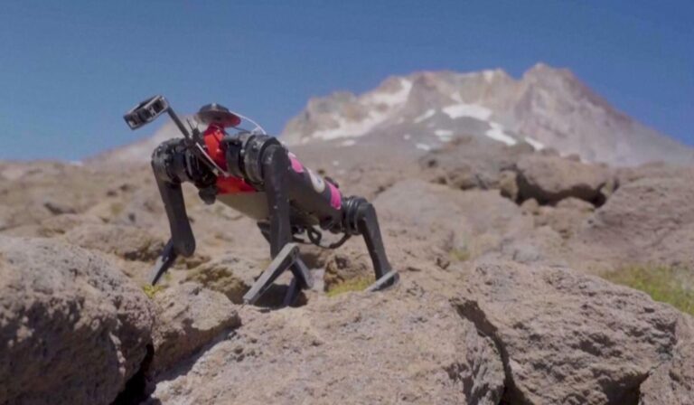 Proyecto Lassie: Robot cuadrúpedo es entrenado para ser enviado al espacio