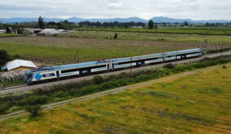 Tragedia en Curicó: Hombre fallece al ser atropellado por tren