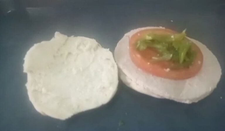 Chacarero sin carne: El “menú especial” que Junaeb entregó en el Maule por el Día del Estudiante