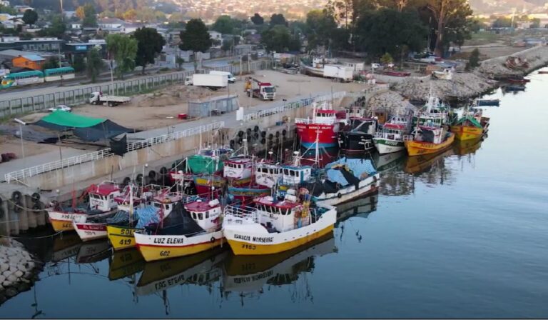 ¡Un viaje por las raíces del Maule! Documental Guanayes se exhibirá gratis en Talca