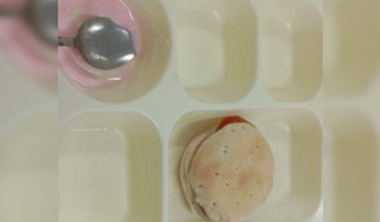 Fiscalizarán colegios del Maule por caso de “menú especial” de chacarero sin carne