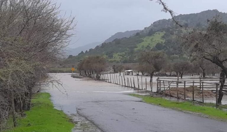 Maule bajo el agua: 207 Viviendas dañadas tras intensas lluvias