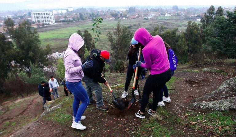 Curicó: Crearán bosque urbano de tres hectáreas en Avenida Carlos Condell