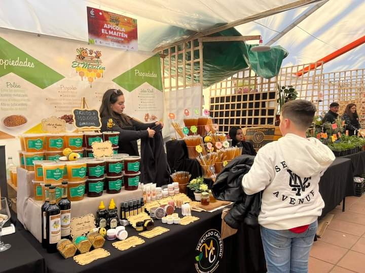 Una vitrina al resto de Chile: Emprendedores triunfan en Feria de Cazuelas y Caldillos de Curicó