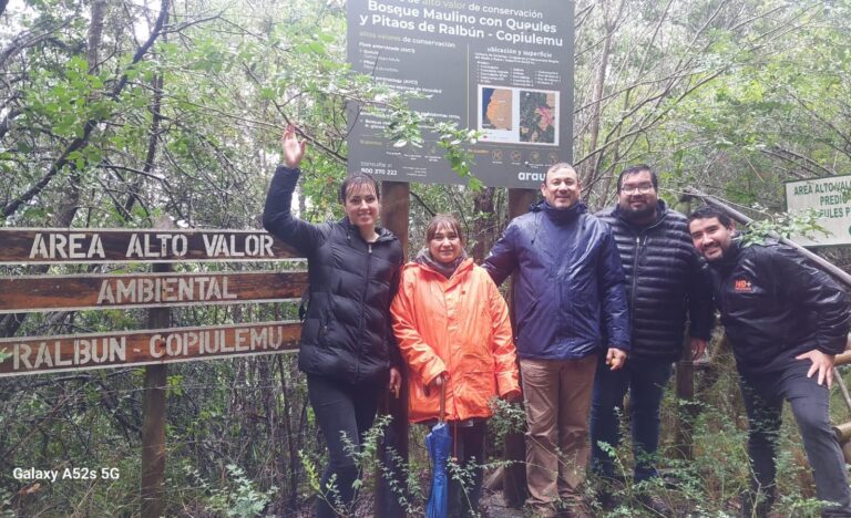 Desarrollan innovador proyecto educativo en el Bosque Maulino