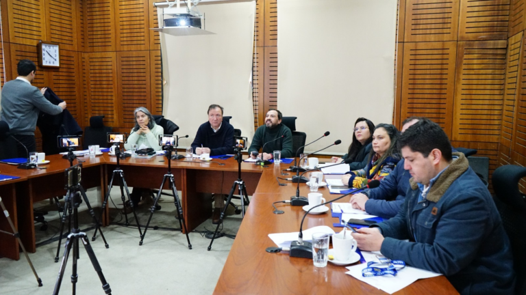 Estufas para Talca: Aprueban compra de calefactores para salas de clases
