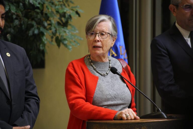 Diputada Mercedes Bulnes exige respuestas y soluciones ante recurrentes cortes de energía en la Región de Maule