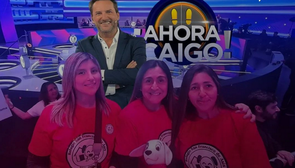 Todo por los animales: Refugio San Francisco de Asís de Talca participará en “Ahora Caigo”