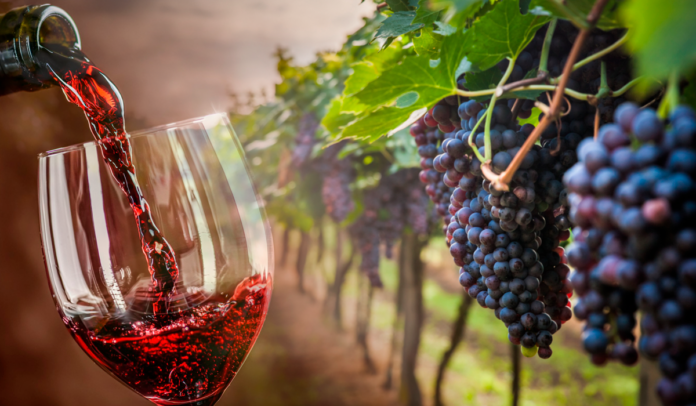 vinos