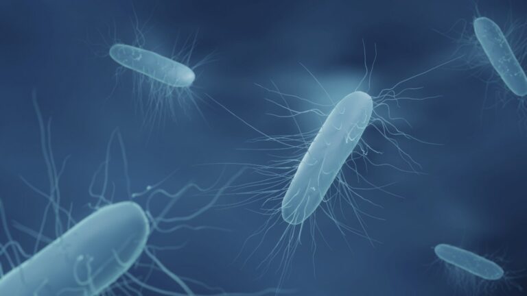 Alerta sanitaria: Advierten presencia de listeria en productos de supermercados