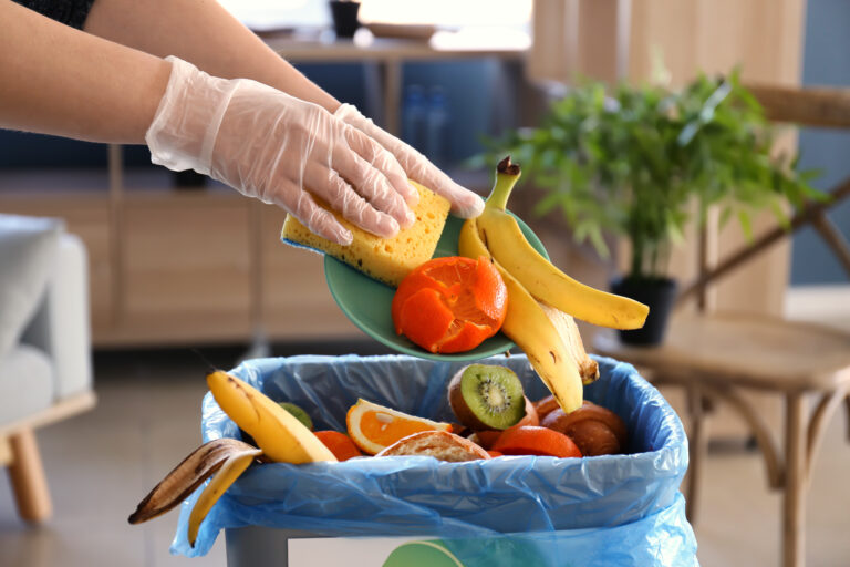 ¿Quieres reducir el desperdicio de alimentos y ahorrar dinero? Revisa los siguientes consejos