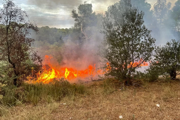 Formalizan a hombre por impedir acceso de bomberos para apagar incendio en Teno