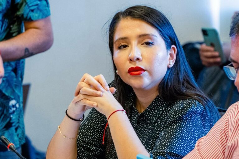 “No podemos volver a tener cortes masivos”: Diputada Veloso eleva preocupación por estado de la red eléctrica en el Maule