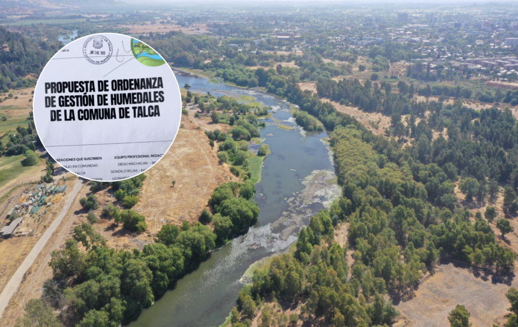 Organizaciones ambientalistas proponen ordenanza para proteger humedales en Talca