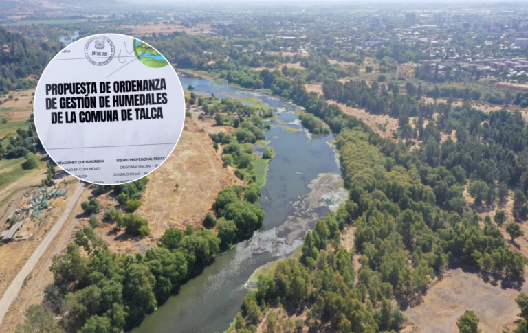 Protección de humedales en Talca: presentan propuesta de ordenanza para su gestión sostenible