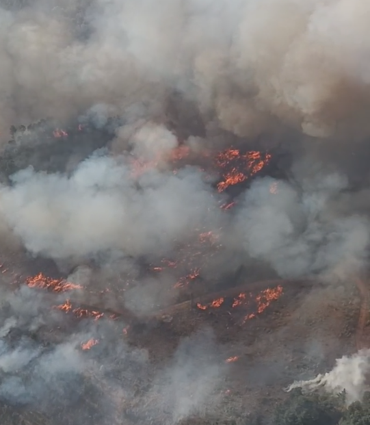 (VIDEO) Parral enfrenta incendio forestal que consume 25 hectáreas en sector de Villa Baviera