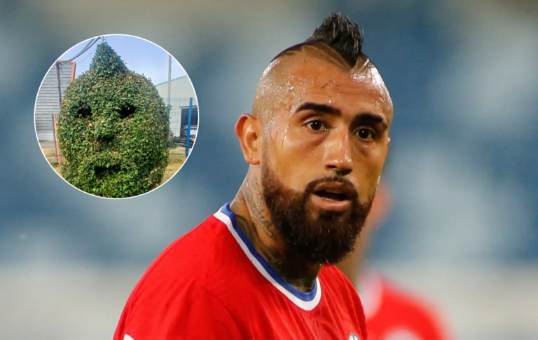 ¡Insólito! Queman arbusto con rostro de Arturo Vidal en Talcahuano: jardineros tardaron tres año en formarlo