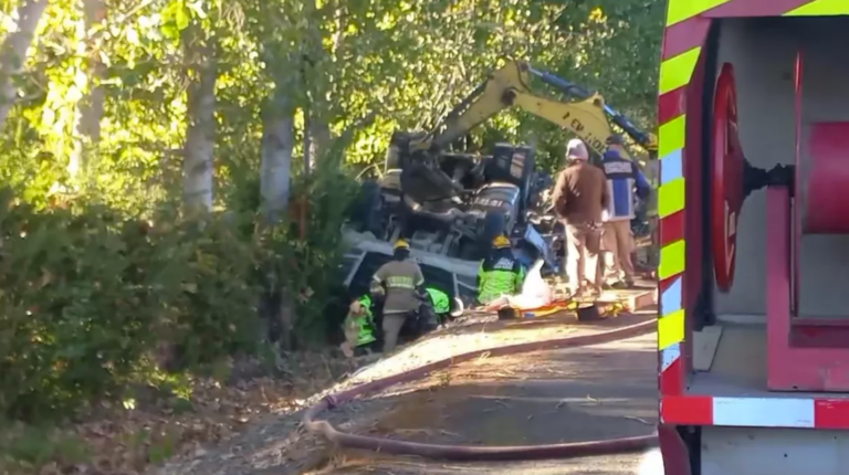 Fatal volcamiento de camión deja un muerto en Villa Alegre