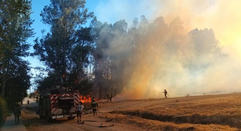 Incendio en el Jardín Botánico de la Universidad de Talca deja dos detenidos