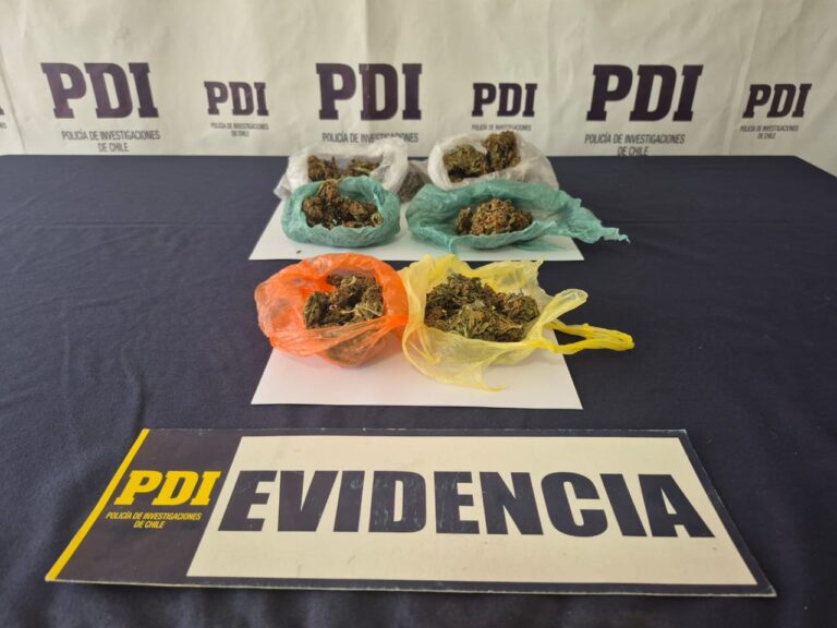 Detienen a joven de 22 años por tráfico de drogas en Parral: incautaron casi 100 gramos de marihuana