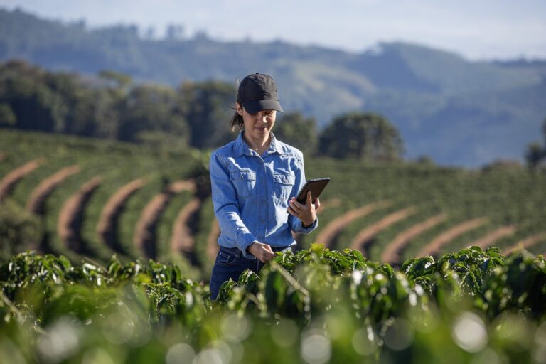 Últimos días para postular al programa “Mi Primer Negocio Rural”: un impulso al emprendimiento en el campo