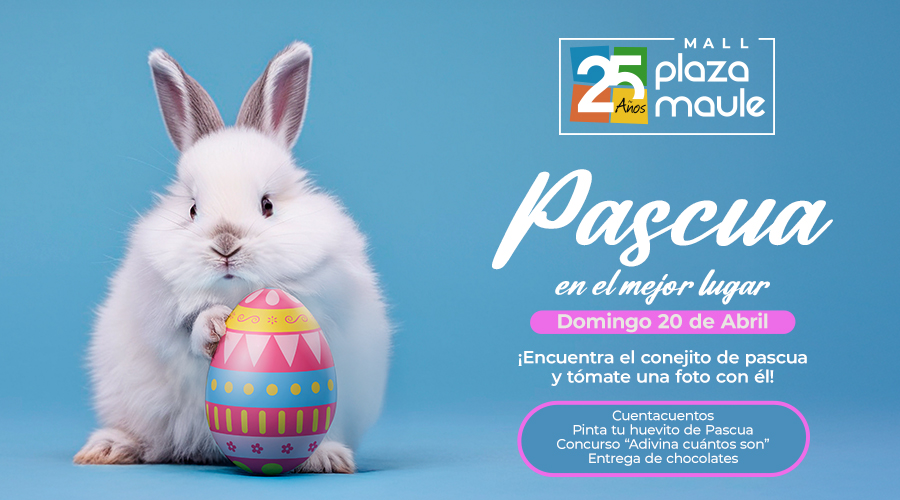 Plaza Maule