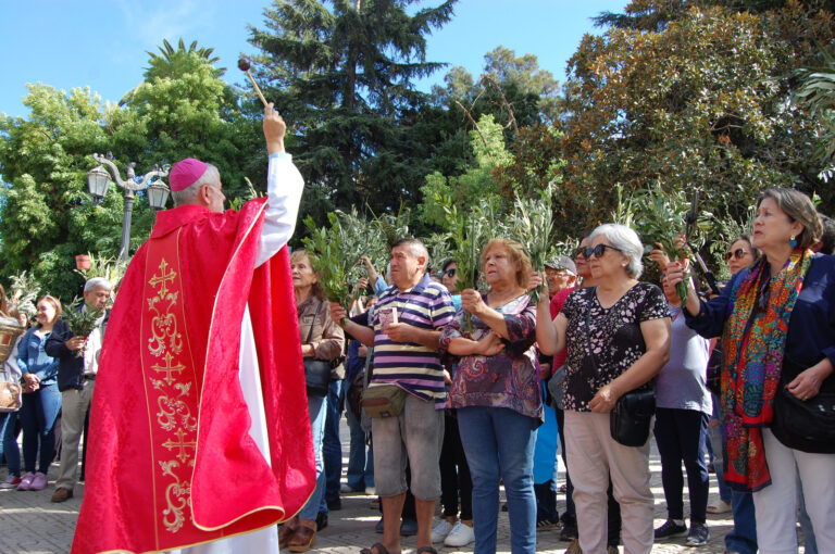 ¿Dónde y a qué hora? Revisa los horarios de misa del Domingo de Ramos en el Maule